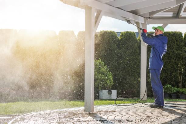 Animal Enclosure Cleaning in Red Lodge, MT